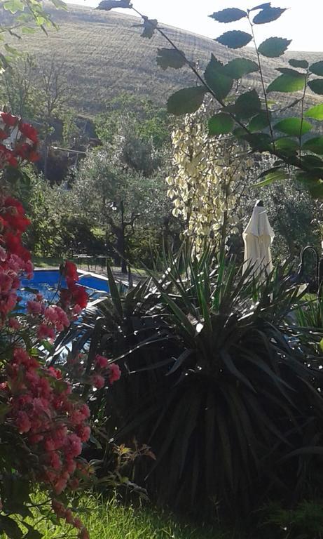 Agriturismo La Solagna Villa Montebello di Bertona Dış mekan fotoğraf