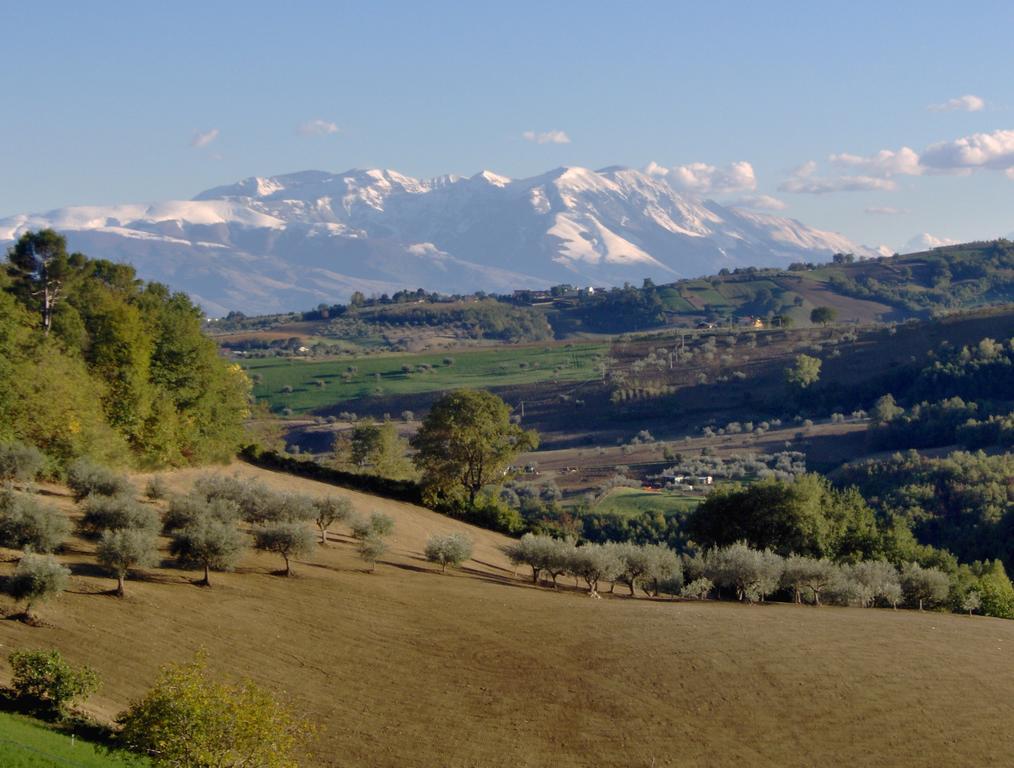 Agriturismo La Solagna Villa Montebello di Bertona Dış mekan fotoğraf