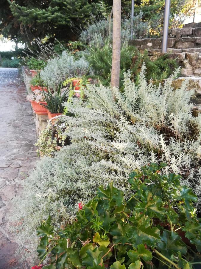 Agriturismo La Solagna Villa Montebello di Bertona Dış mekan fotoğraf